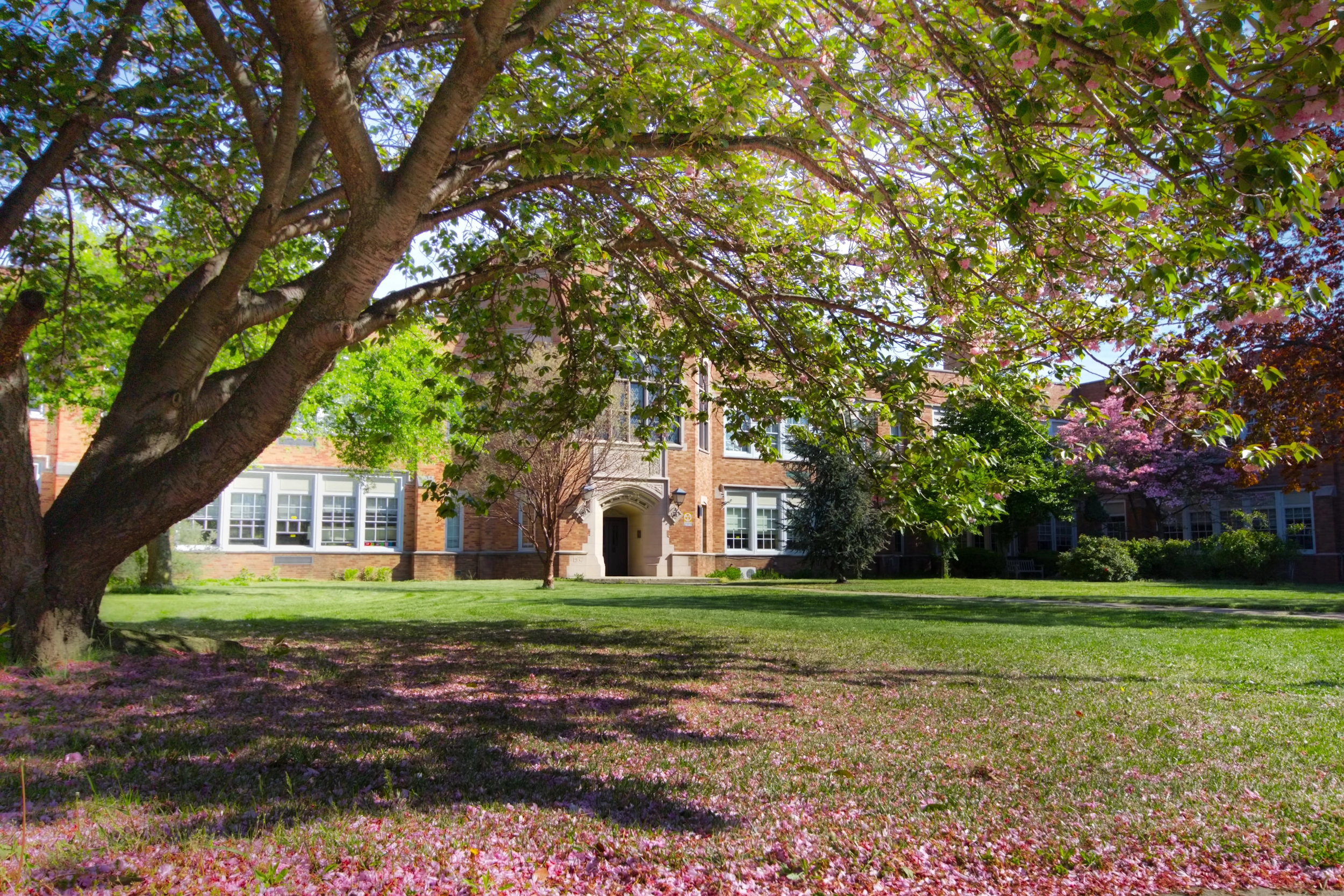 Picture of a building on a college campus