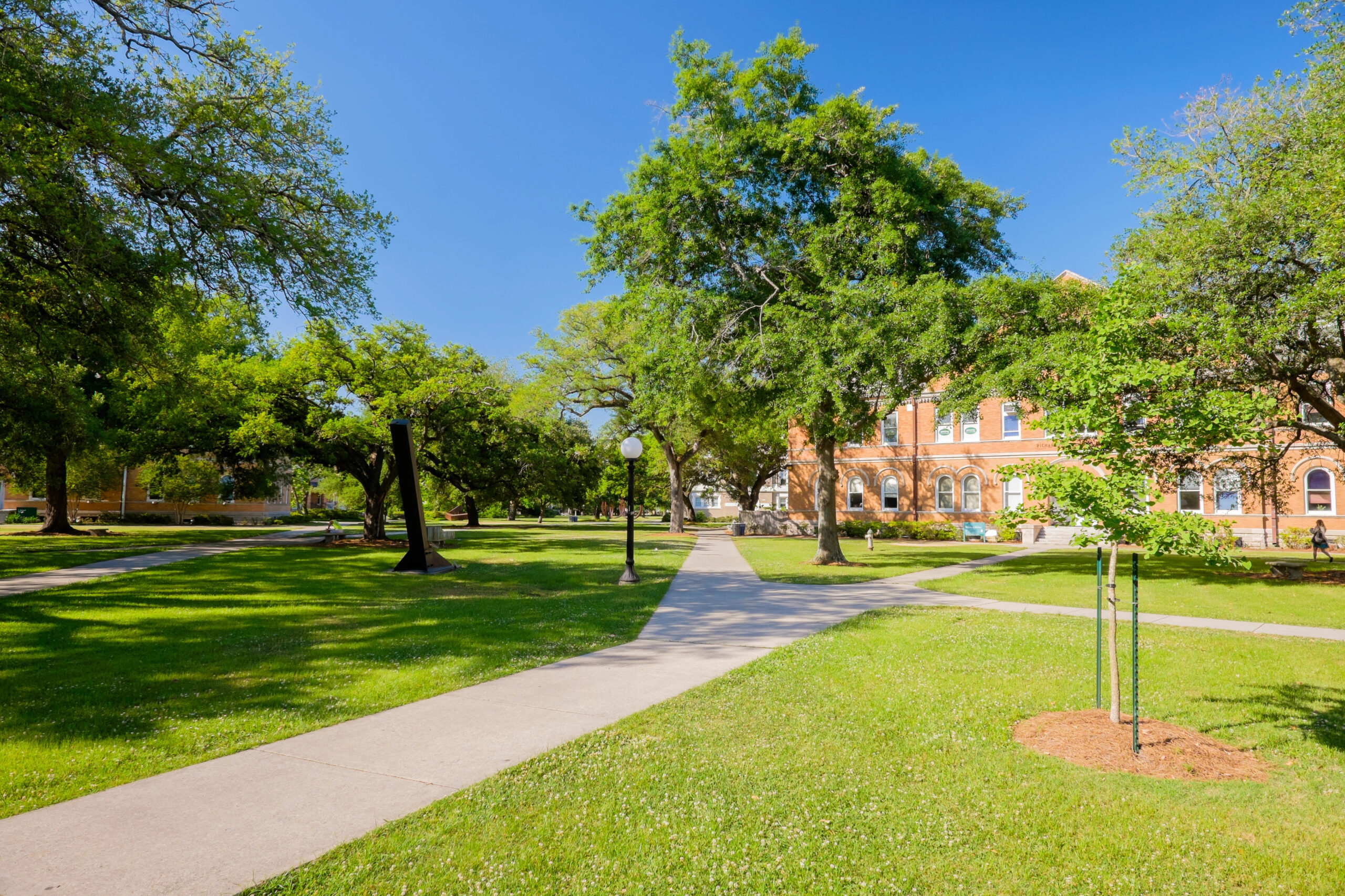 Photo of a college campus green.